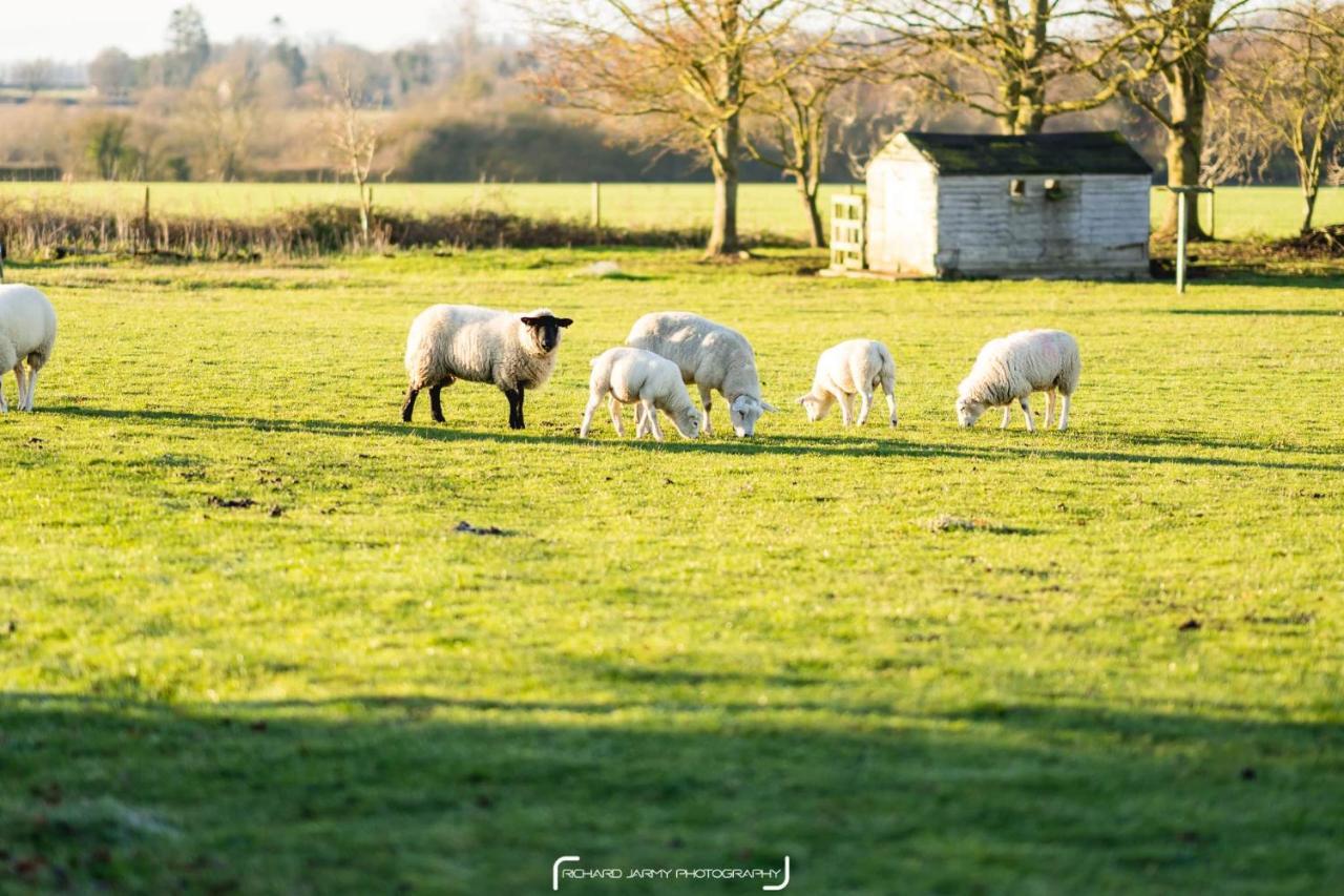 Bed and Breakfast The Pheasantry Wymondham  Esterno foto